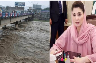 مریم نواز